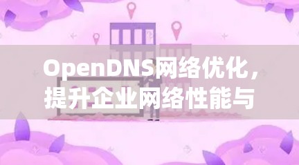 OpenDNS网络优化，提升企业网络性能与安全