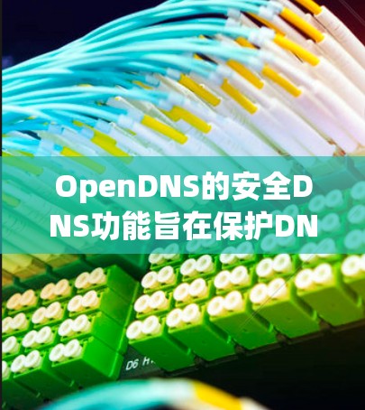 OpenDNS的安全DNS功能旨在保护DNS解析过程中的安全，防止各种网络攻击和安全威胁。以下是该功能的详细说明