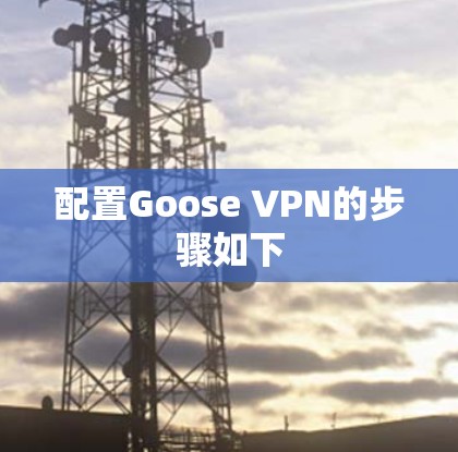 配置Goose VPN的步骤如下 配置Goose VPN的步骤如下