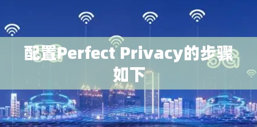 配置Perfect Privacy的步骤如下