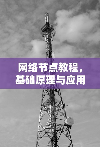 网络节点教程，基础原理与应用实践