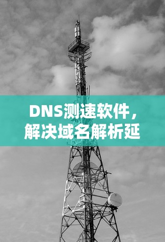 DNS测速软件,解决域名解析延迟问题 DNS测速软件,解决域名解析延迟问题