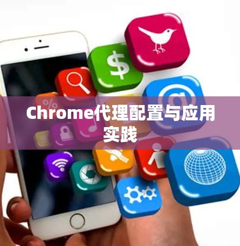 Chrome代理配置与应用实践