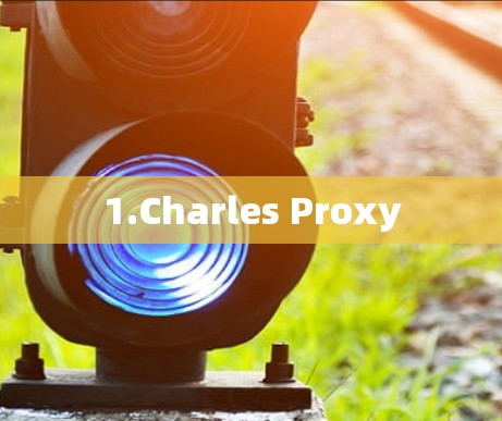 1.Charles Proxy 1.Charles Proxy
