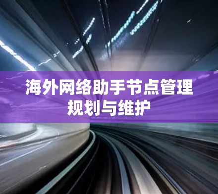 海外网络助手节点管理规划与维护