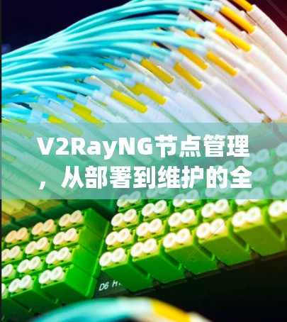 V2RayNG节点管理，从部署到维护的全指南