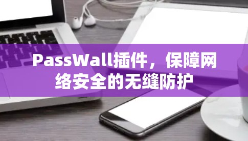 PassWall插件,保障网络安全的无缝防护